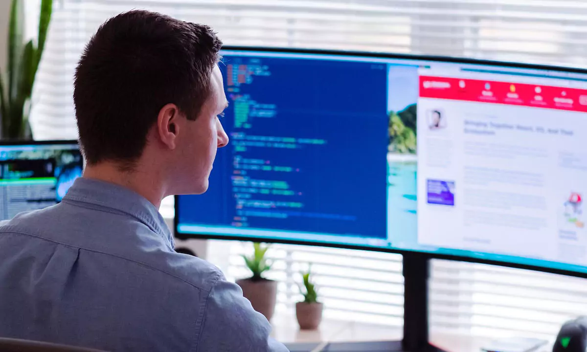 Image For Exploring different software development frameworks and their applications